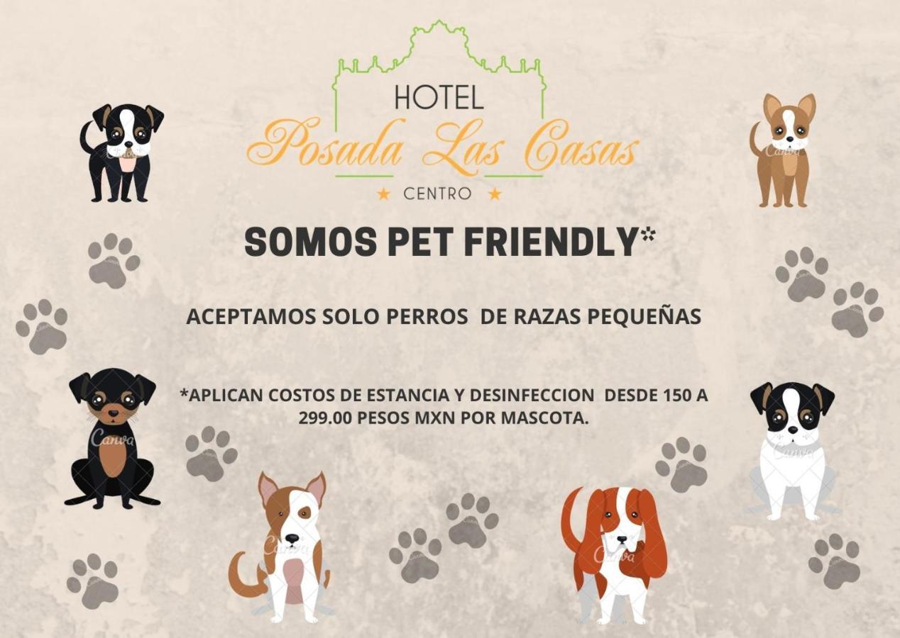 Hotel Posada Las Casas San Cristobal de las Casas Ngoại thất bức ảnh