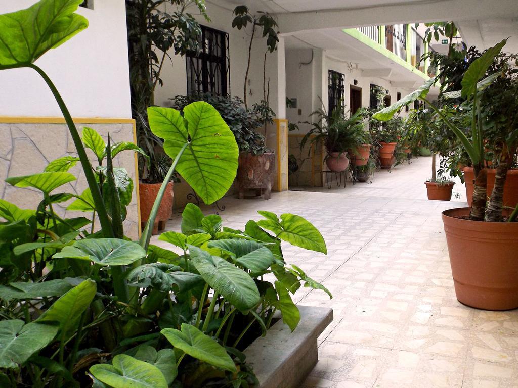 Hotel Posada Las Casas San Cristobal de las Casas Ngoại thất bức ảnh